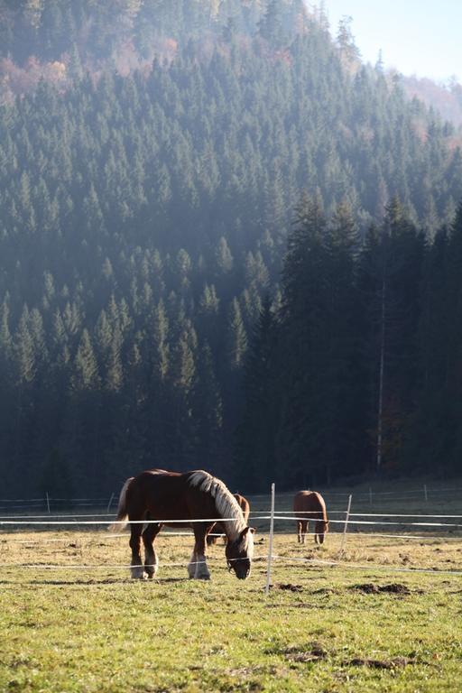 Penzión Ľadová Stratená Esterno foto