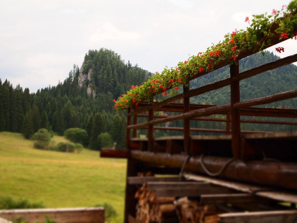 Penzión Ľadová Stratená Esterno foto